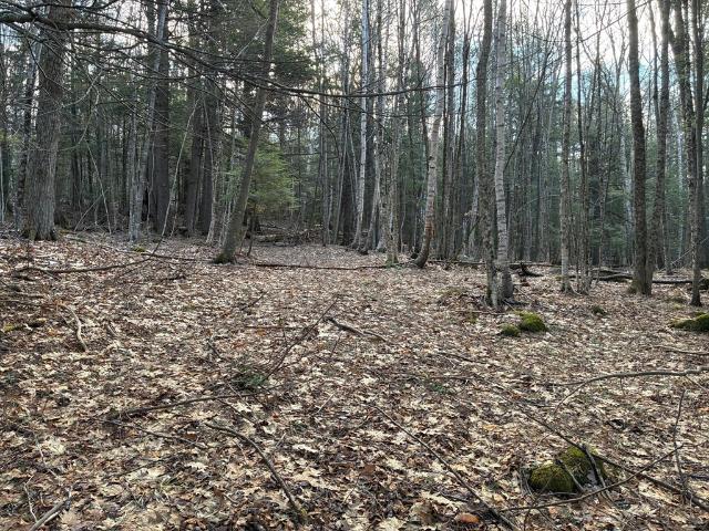 Land for sale in Rowe, Massachusetts