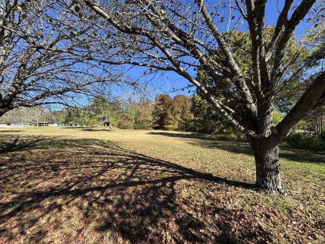 Land for sale in Greenwood, Lebanon