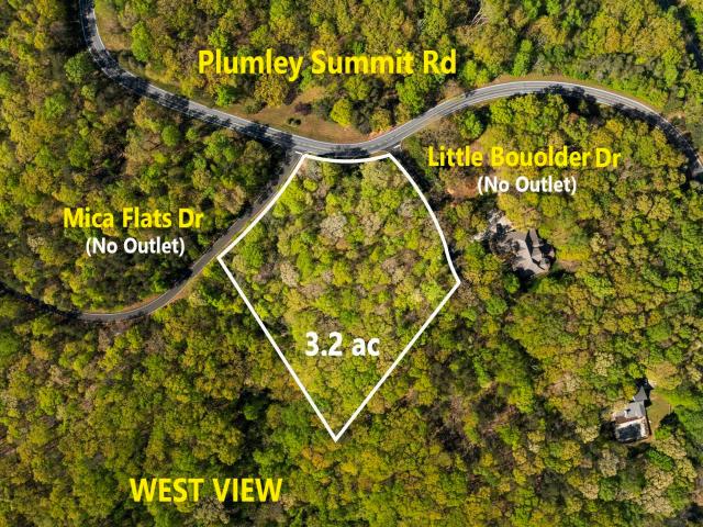 Land for sale in Landrum, South Carolina
