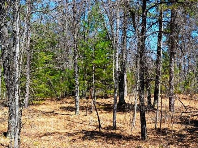Land for sale in Sawyer, Wisconsin
