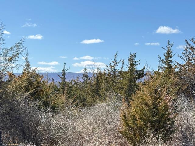 Land for sale in Amenia, New York
