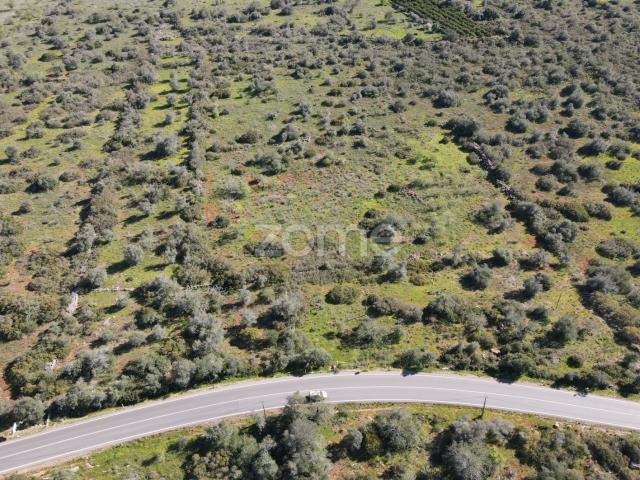 Terreno venda em São Bartolomeu De Messines, Faro