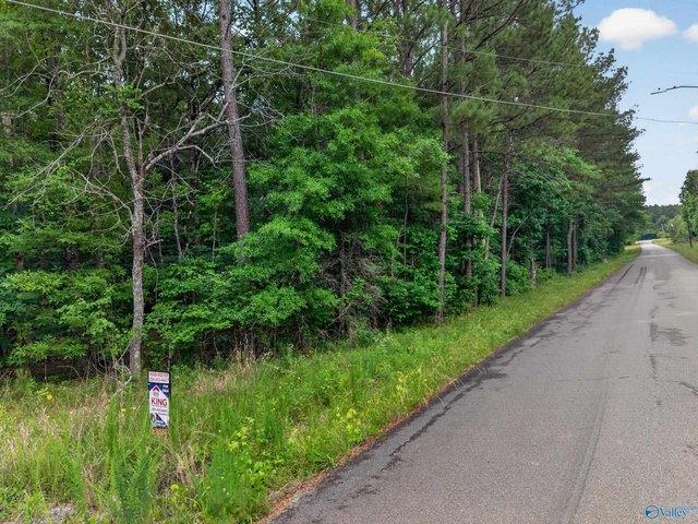 Land for sale in Etowah, Alabama