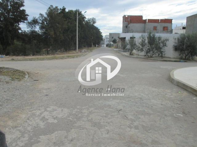 Terrain vente à Bekalta