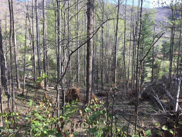 Land for sale in Virginia