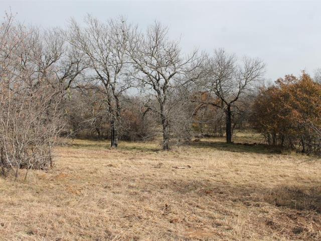 Land for sale in Wise, Texas