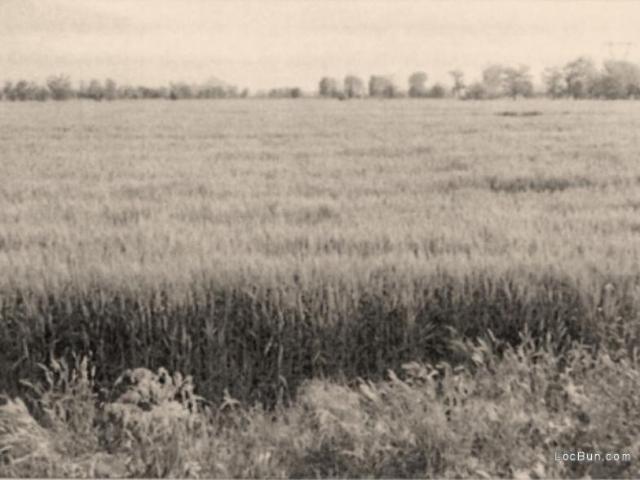 Teren vânzări în Braila, Brăila