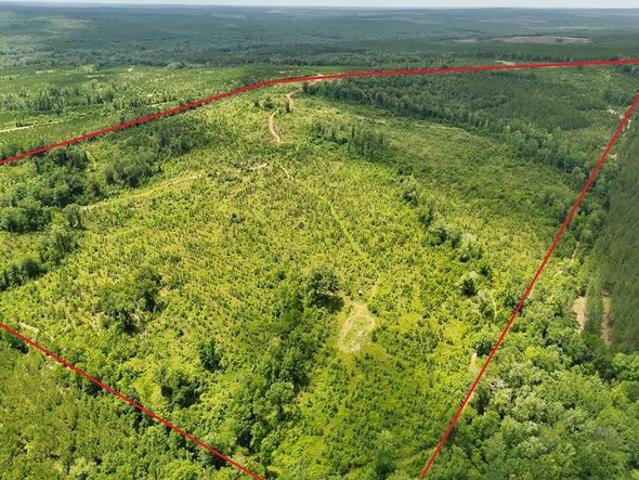 Farm for sale in Quitman, Georgia