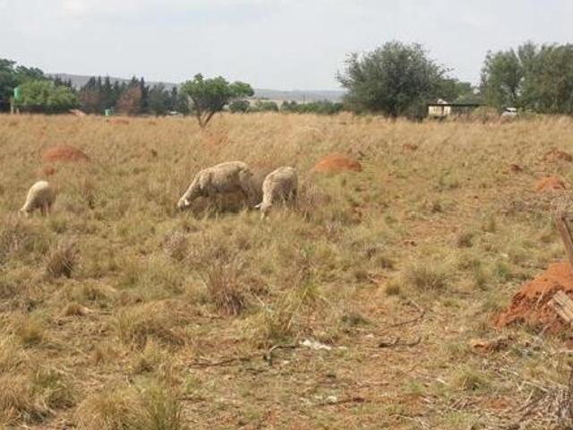 Land for sale in Witbank, Mpumalanga