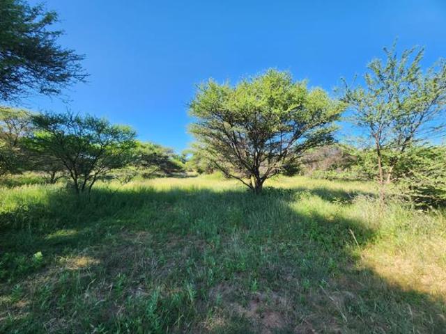 Land for sale in Limpopo