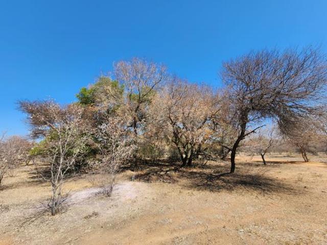 Land for sale in Limpopo