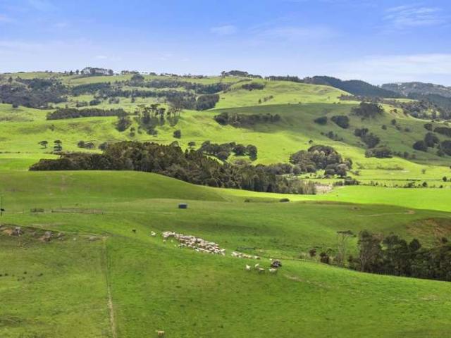 House for sale in Waimauku, Rodney