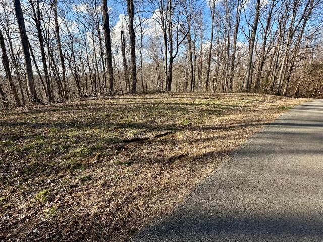 Land for sale in Albany, Kentucky