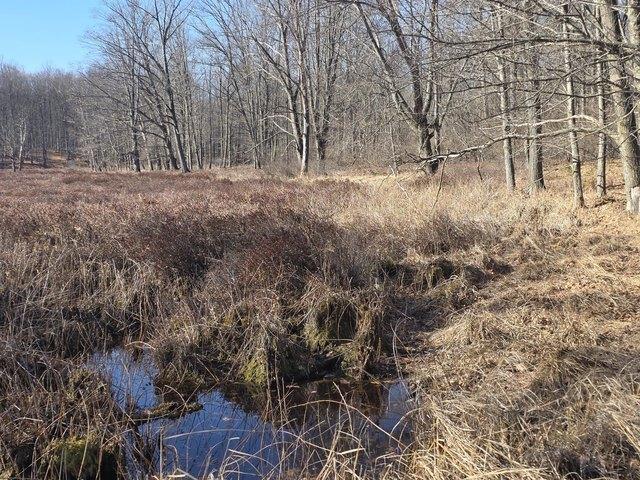 Land for sale in Evart, Michigan