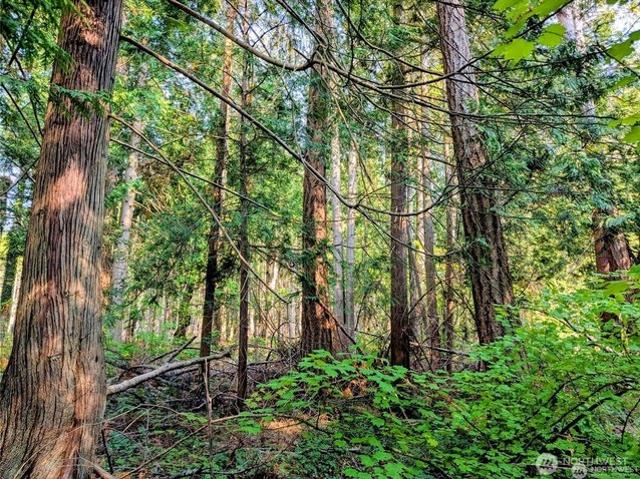 Land for sale in Point Roberts, Washington
