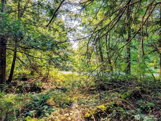 Land for sale in Point Roberts, Washington