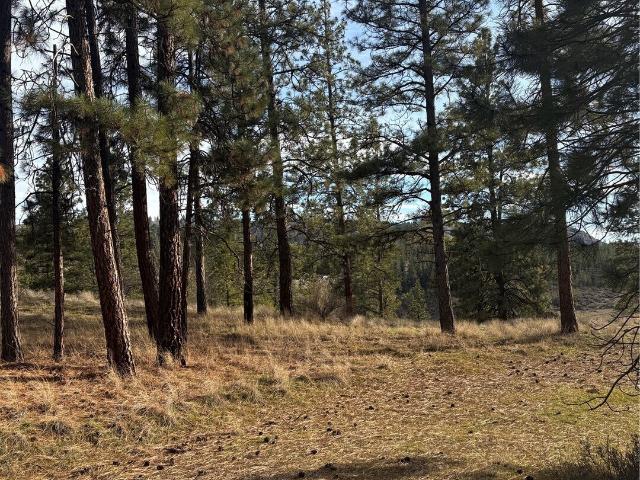 Land for sale in Tonasket, Washington