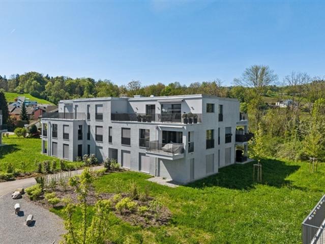 Wohnung mieten in Wädenswil, Zürich