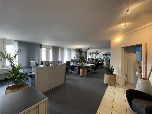 Büro mieten in Einigen, Zürich