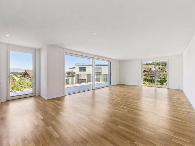 Apartment mieten in Wädenswil, Zürich