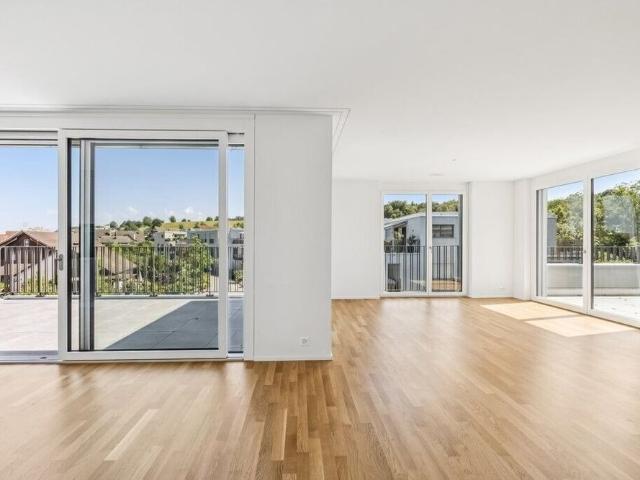 Apartment mieten in Wädenswil, Zürich