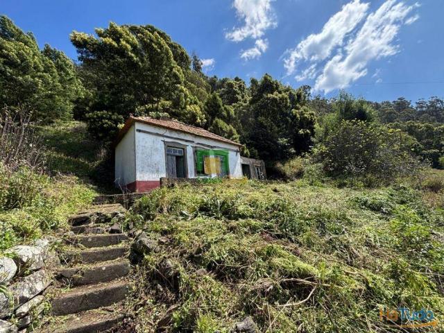 Casa venda em Ribeira Brava, Ilha Da Madeira