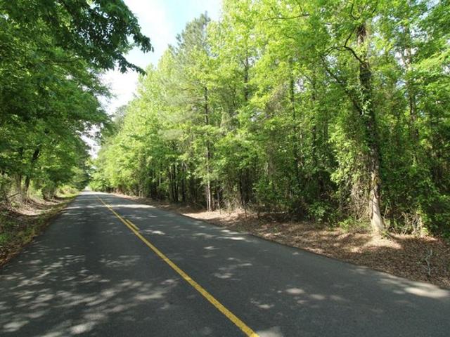 Land for sale in Plain Dealing, Louisiana