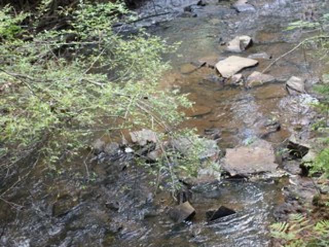 Land for sale in Auburn, Georgia
