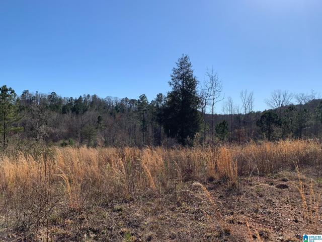 Land for sale in West Blocton, Alabama