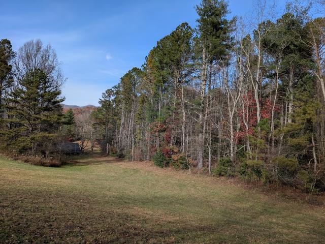 Property for sale in Hiawassee, Georgia