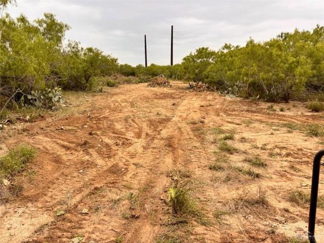 Land for sale in Roma, Texas