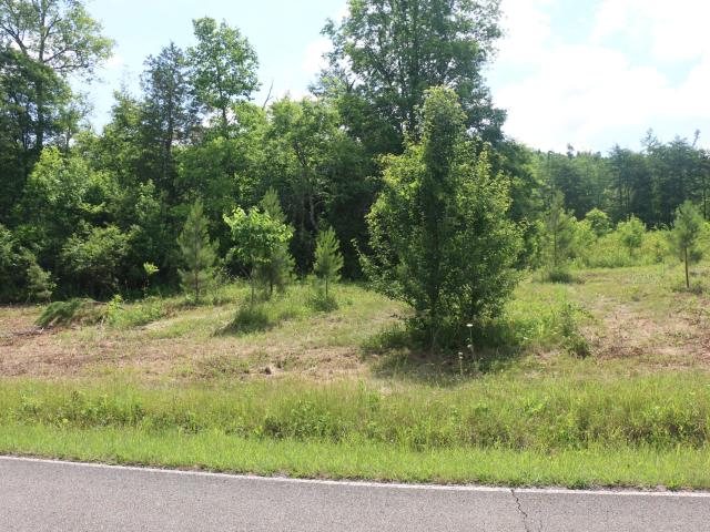 Land for sale in Tennessee