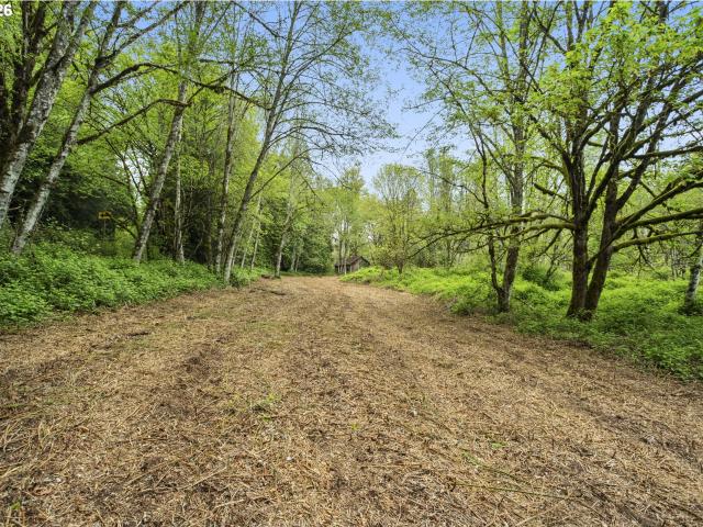 Land for sale in Yacolt, Washington