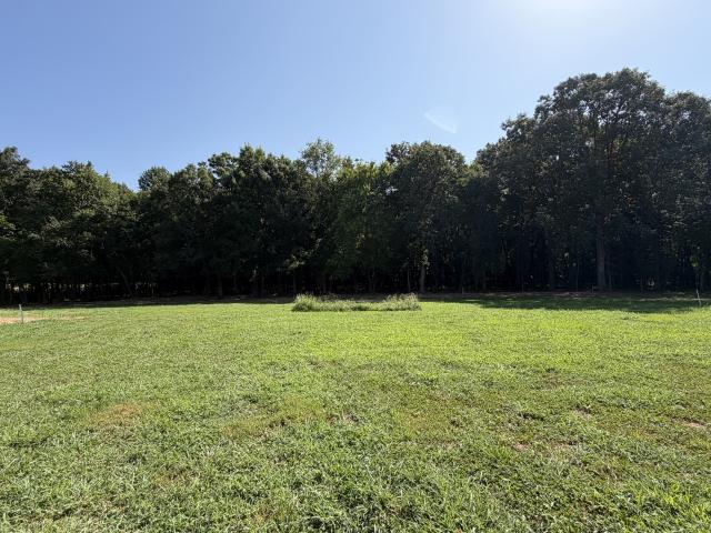Land for sale in Blue Hill, Middle Tennessee