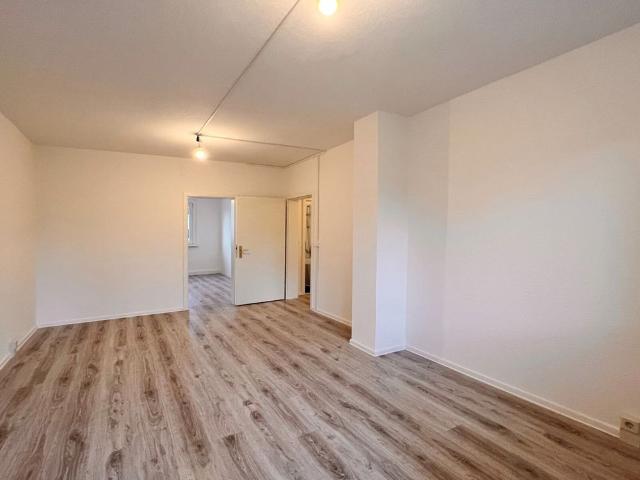 Apartment mieten in Neuhausen/Erzgebirge, Mittelsachsen