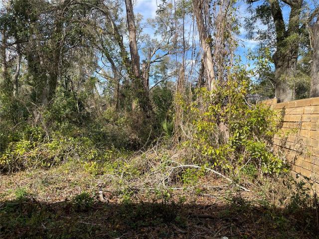 Land for sale in Alachua, Florida