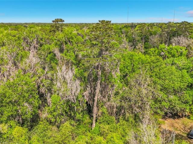 Land for sale in Gainesville, Florida