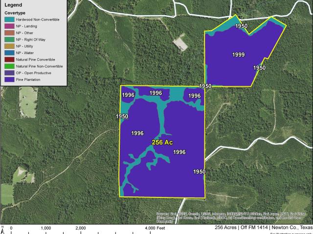 Land for sale in Newton, Texas