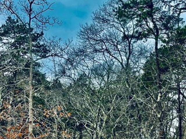 Land for sale in Edgartown, Massachusetts