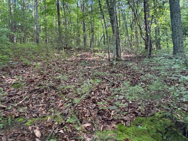 Land for sale in Tennessee