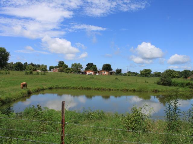 Land for sale in Tennessee