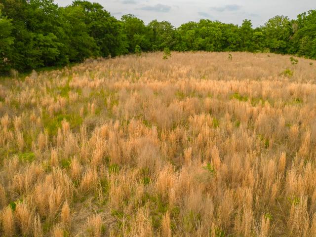 Land for sale in Vance, South Carolina