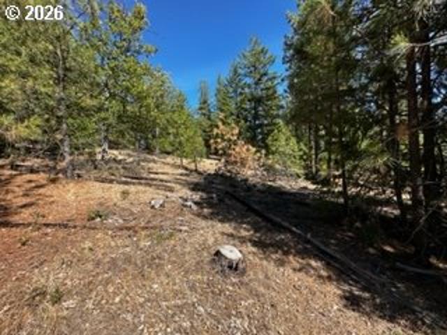 Land for sale in Goldendale, Washington