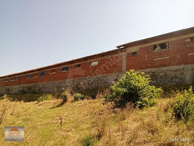 Aşağı Musalar, Dursunbey içerisinde satılık Arsa