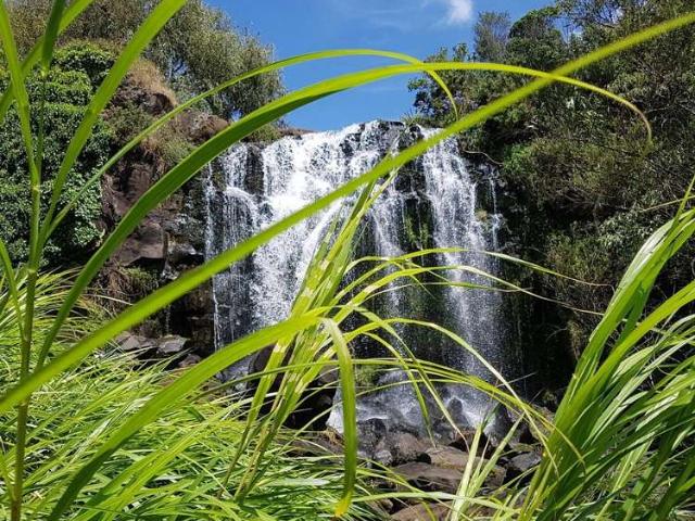 House for sale in Pukekohe