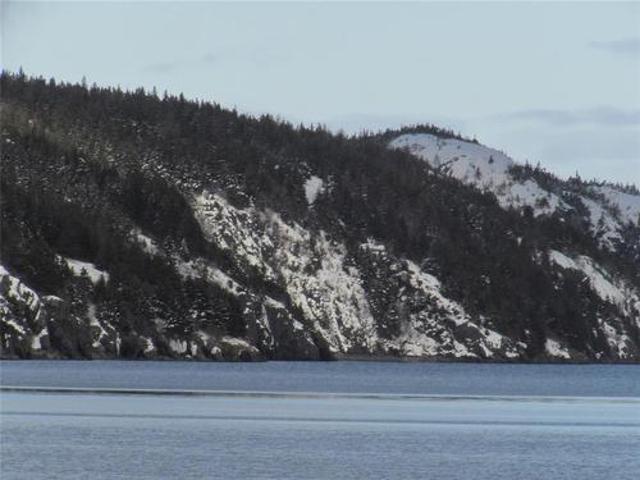 Land for sale in Harbour Main, Newfoundland And Labrador