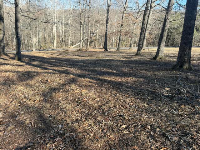 Land for sale in Albany, Kentucky