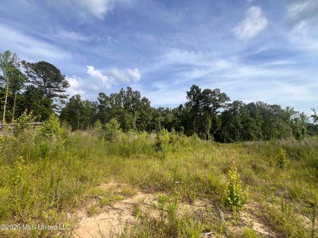 Land for sale in Forest, Mississippi