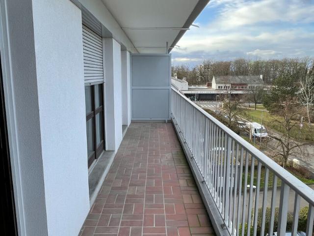 Appartement location à Lingolsheim, Collectivité européenne d'Alsace