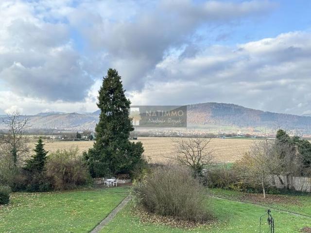 Appartement vente à Sélestat-Erstein, Sélestat